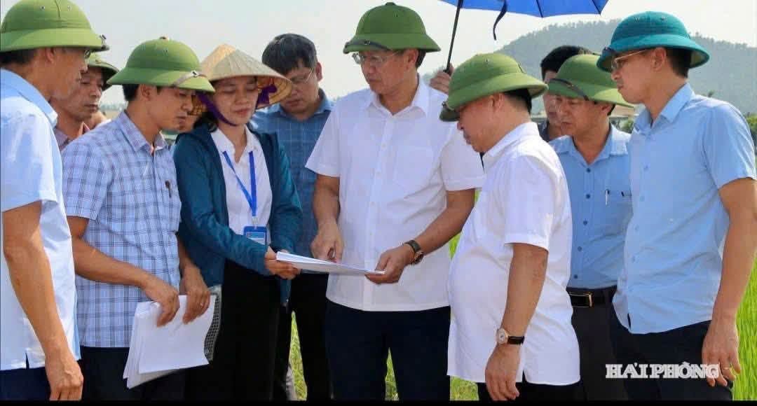 🚄 HẢI PHÒNG ĐẨY NHANH GPMB ĐƯỜNG SẮT TỐC ĐỘ CAO HÀ NỘI – QUẢNG NINH